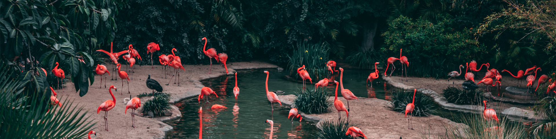 西藏悦游者旅行社有限公司驻马店第一网点